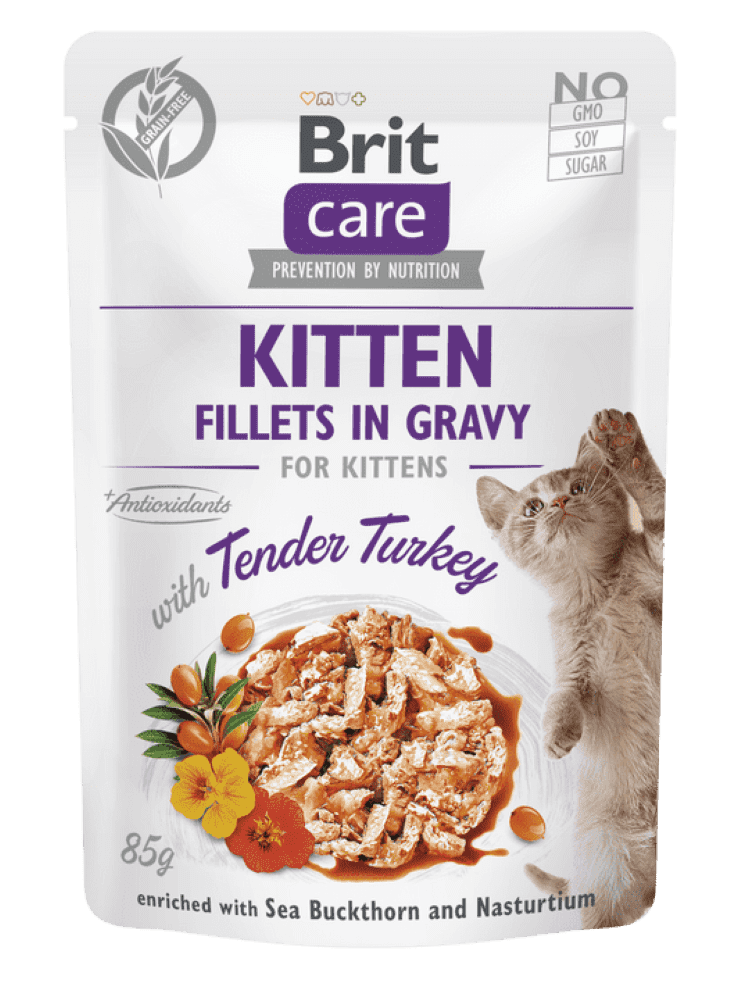 Brit Care Cat Kitten. Fillets in Gravy with Tender Turkey Brit Care Cat Kitten. Fillets in Gravy with Tender Turkey